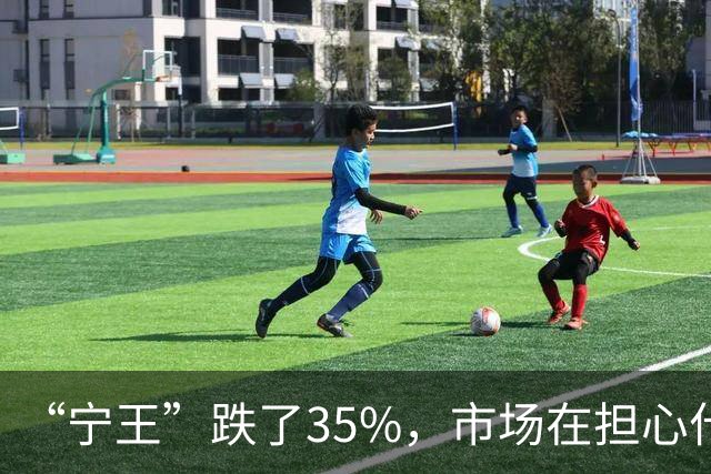 “宁王”跌了35%，市场在担心什么