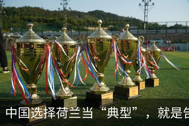 中国选择荷兰当“典型”，就是告诉全世界：凭什么这么欺负人？
