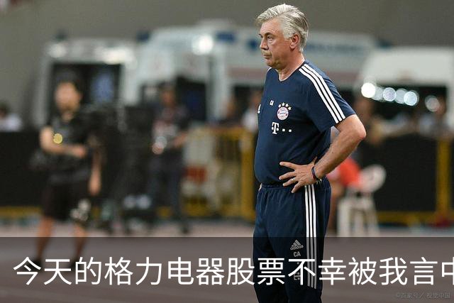 今天的格力电器股票不幸被我言中了