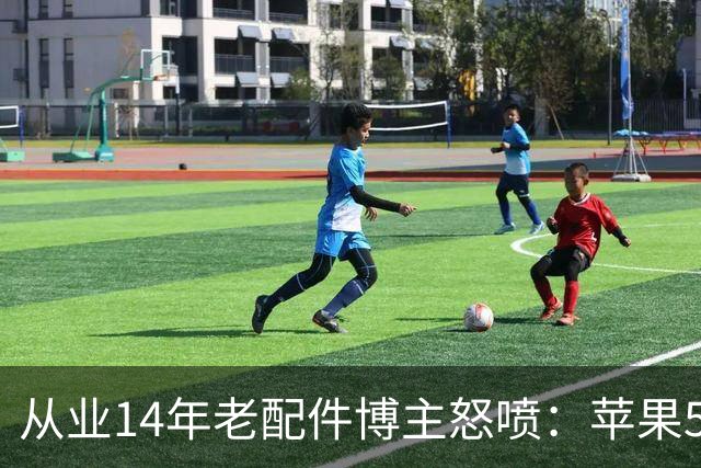 从业14年老配件博主怒喷：苹果599元官方手机壳就是垃圾