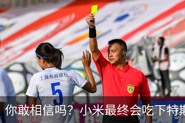 你敢相信吗？小米最终会吃下特斯拉中国的全部市场份额！