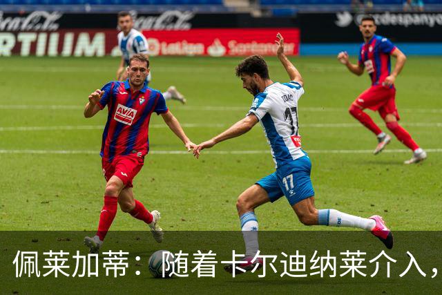 佩莱加蒂：随着卡尔迪纳莱介入，付费引进克勒舍是有可能的
