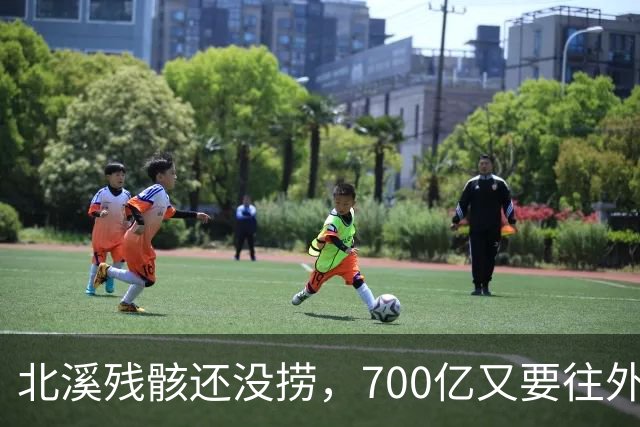 北溪残骸还没捞，700亿又要往外掏？德国政坛：要么赔钱要么滚