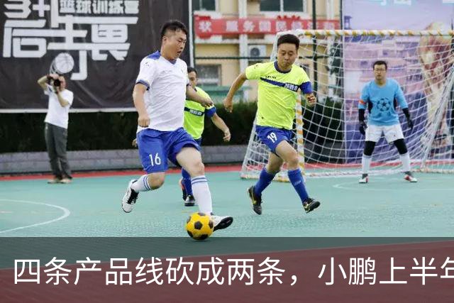 四条产品线砍成两条，小鹏上半年亏损扩大173%