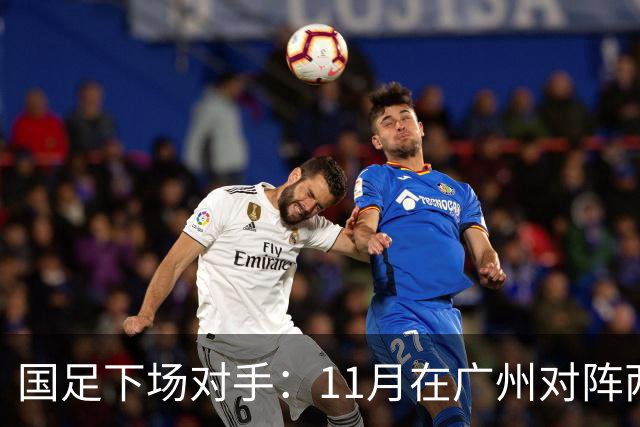 国足下场对手：11月在广州对阵两次归化军团马来西亚
