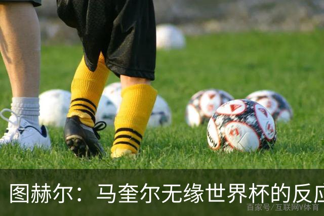 图赫尔：马奎尔无缘世界杯的反应没帮助，我不会记恨他一辈子