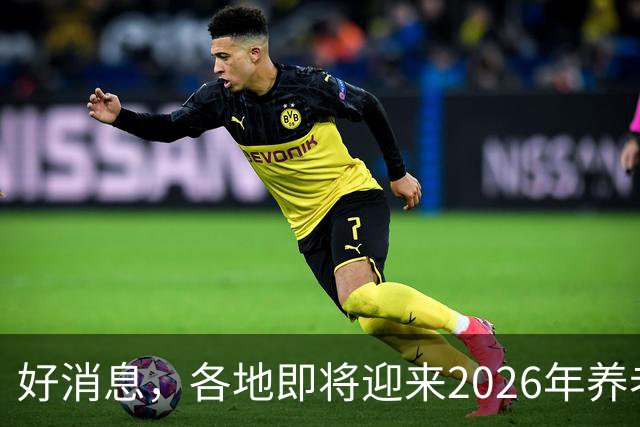 好消息，各地即将迎来2026年养老金重算补发，补发10个月补多少？