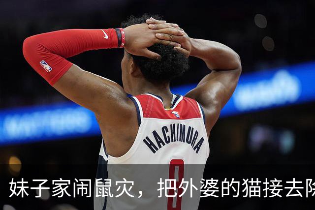 妹子家闹鼠灾，把外婆的猫接去除害，结果外婆每天视频800遍，网友笑疯：外婆和猫是真爱了