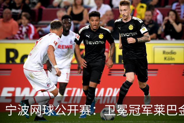 宁波网球公开赛：卫冕冠军莱巴金娜晋级八强