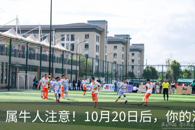 属牛人注意！10月20日后，你的清闲日子要暂时叫停了