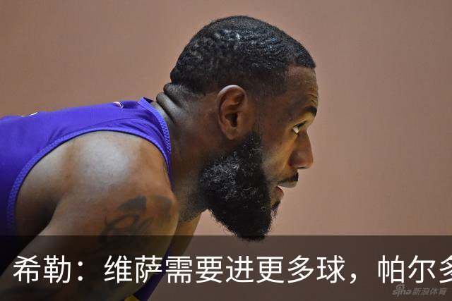希勒：维萨需要进更多球，帕尔多仍需时间适应