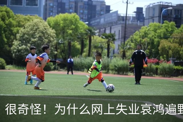 很奇怪！为什么网上失业哀鸿遍野，现实中大家都在按部就班的工作