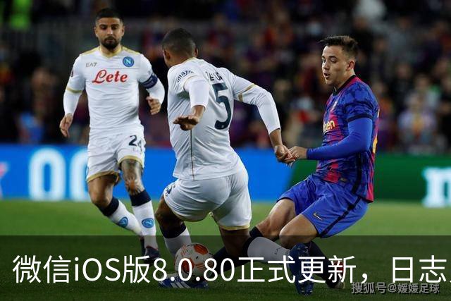 微信iOS版8.0.80正式更新，日志只写了这一句