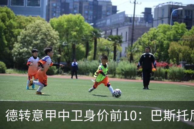 德转意甲中卫身价前10：巴斯托尼6500万第1，比塞克5000万第2