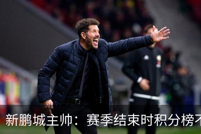 新鹏城主帅：赛季结束时积分榜不会撒谎，会展现我们在中超的水平