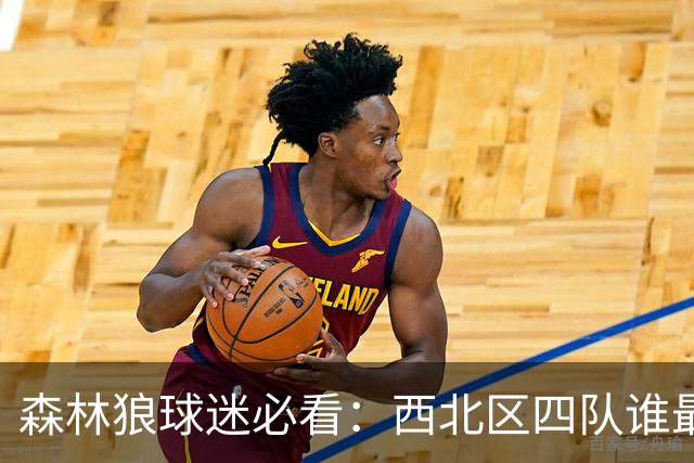 森林狼球迷必看：西北区四队谁最烦人？评分从1到5