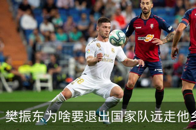 樊振东为啥要退出国家队远走他乡，刘国梁能出来解释一下么？