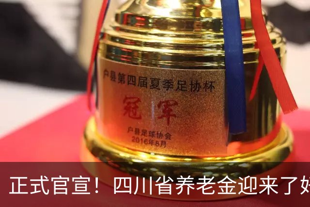 正式官宣！四川省养老金迎来了好消息，每月普涨30元，80岁以上增发