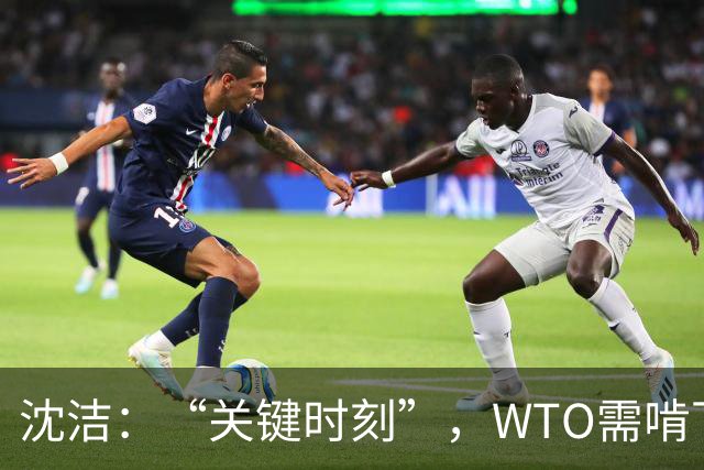 沈洁：“关键时刻”，WTO需啃下改革的“硬骨头”