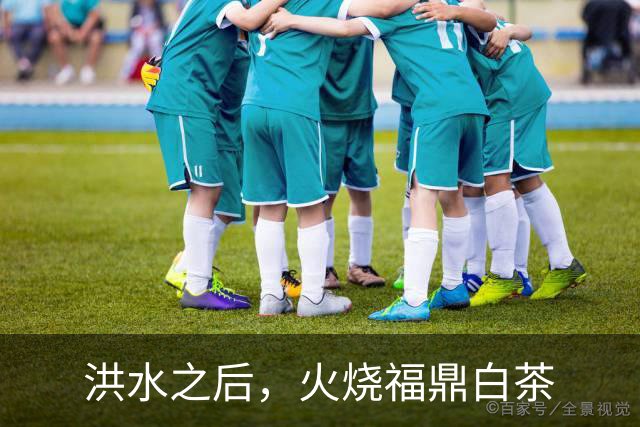 洪水之后，火烧福鼎白茶