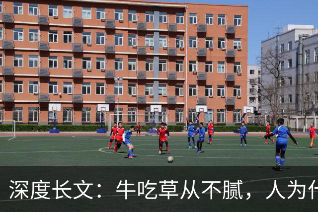 深度长文：牛吃草从不腻，人为什么总想吃新东西？藏着人性的底层逻辑