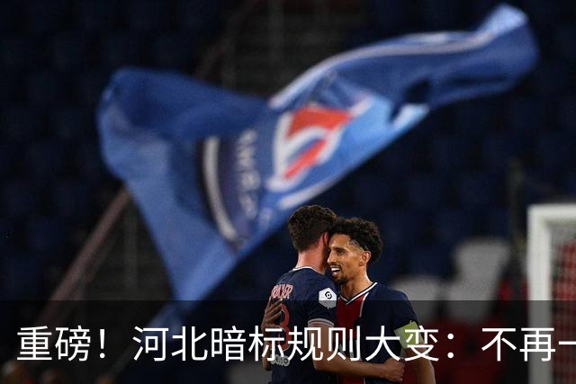 重磅！河北暗标规则大变：不再一踩形式坑就直接废标！
