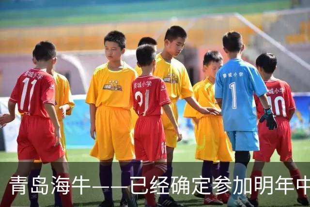 青岛海牛——已经确定参加明年中甲的球队