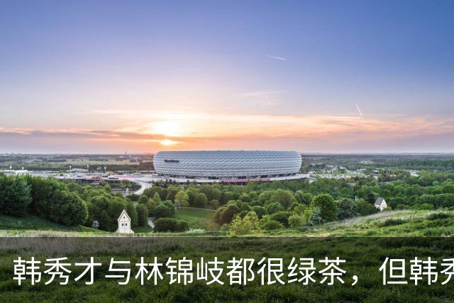 韩秀才与林锦岐都很绿茶，但韩秀才让人讨厌